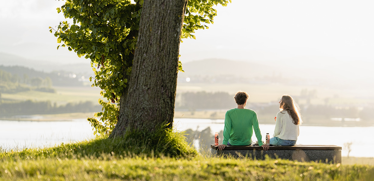 Pilegrimsled gjennom Vestfold