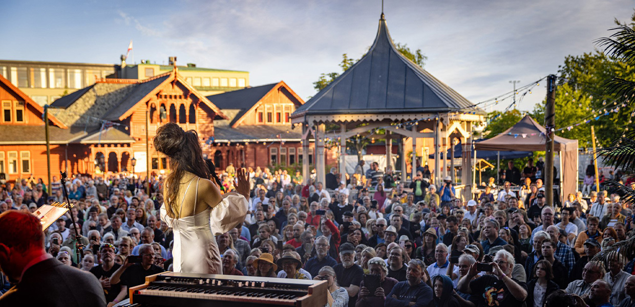 Festivalpass og konsertbilletter🎶